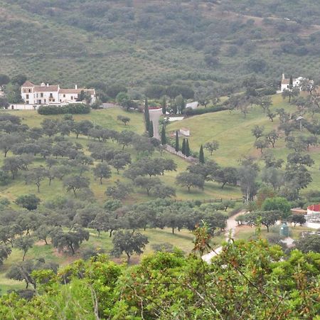 La Rejaquera Villa Villanueva del Rio y Minas Ngoại thất bức ảnh